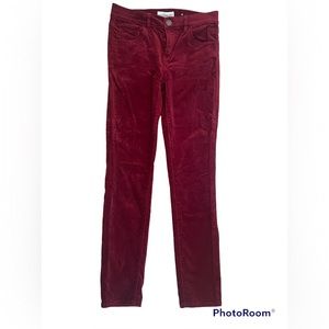 Loft velvet skinny pants. 25/0.